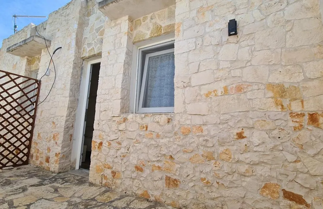 Musa Balbisiana Casa Olea-1